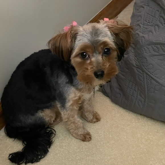 OFFERS WELCOME! π - Picture 2 of 4